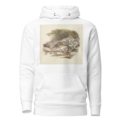The Burn by Alfred W. Cooper Hoodie