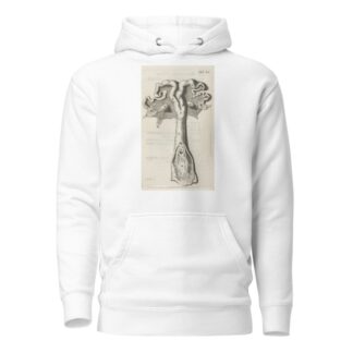 Anatomical illustration of the cervix, uterus, fallopian tubes and ovaries by Hendrik Bary Hoodie
