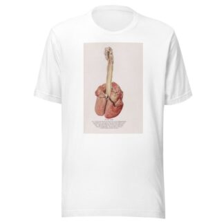 Plate XVIII by Milton C. Winternitz T-Shirt
