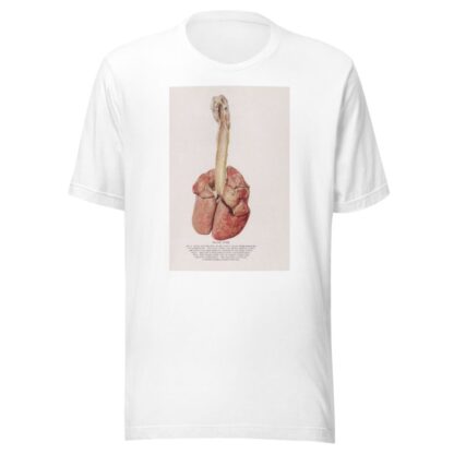 Plate XVIII by Milton C. Winternitz T-Shirt