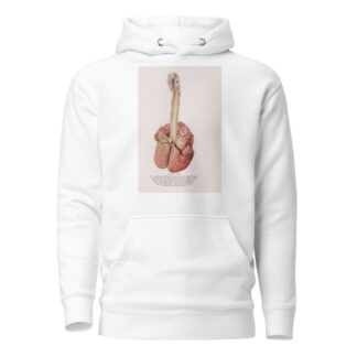 Plate XVIII by Milton C. Winternitz Hoodie