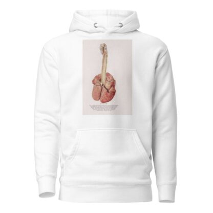 Plate XVIII by Milton C. Winternitz Hoodie