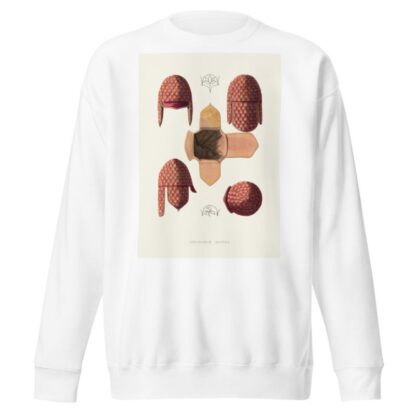 Shelkovaia shapka by Fedor Grigoryevich Solntsev Sweatshirt