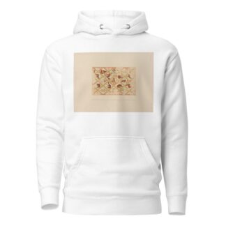 Ḳuṣejr ʻAmra; mit einer Karte von Arabia Petraea Pl.34 by Kaiserliche Akademie der Wissenschaften Hoodie