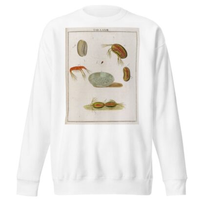 Amusement microscopique tant pour l’esprit, que pour les yeux Pl.073 by Martin Frobenius Ledermüller Sweatshirt
