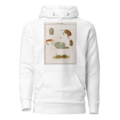 Amusement microscopique tant pour l’esprit, que pour les yeux Pl.073 by Martin Frobenius Ledermüller Hoodie
