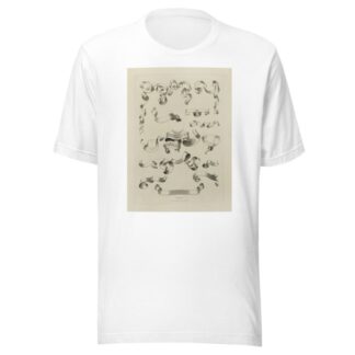 Alphabets: numerals, and devices of the middle ages Pl.46 by Henry Shaw T-Shirt