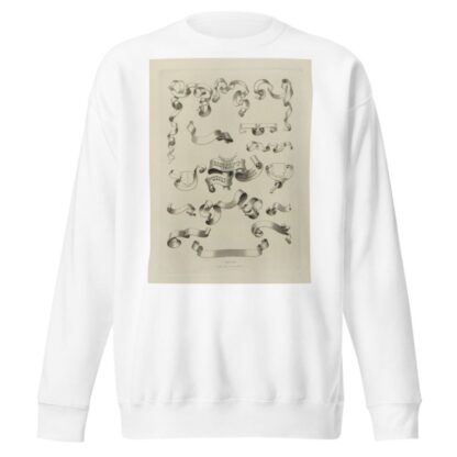 Alphabets: numerals, and devices of the middle ages Pl.46 by Henry Shaw Sweatshirt