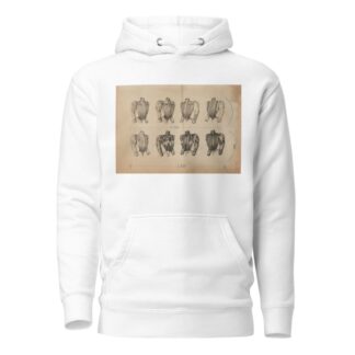 Dessin de mode by Cécile Kahn Hoodie