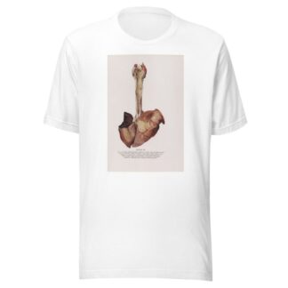 Plate XX by Milton C. Winternitz T-Shirt