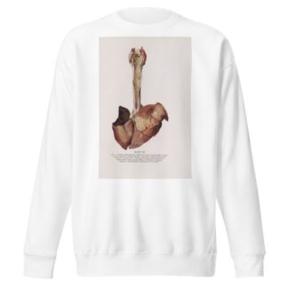 Plate XX by Milton C. Winternitz Sweatshirt
