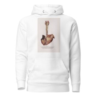Plate XX by Milton C. Winternitz Hoodie