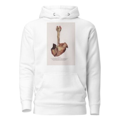 Plate XX by Milton C. Winternitz Hoodie
