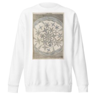 Amusement microscopique tant pour l’esprit, que pour les yeux Pl.040 by Martin Frobenius Ledermüller Sweatshirt