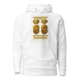 Bratiny tsaria Alekseia Mikhailovicha by Fedor Grigoryevich Solntsev Hoodie