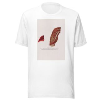 Plate XXXVIII by Milton C. Winternitz T-Shirt