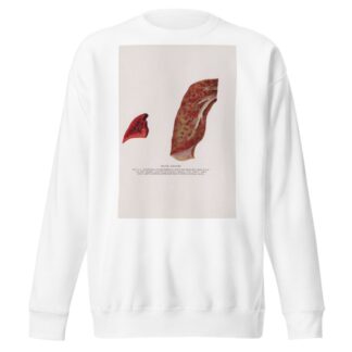 Plate XXXVIII by Milton C. Winternitz Sweatshirt