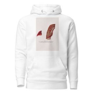 Plate XXXVIII by Milton C. Winternitz Hoodie