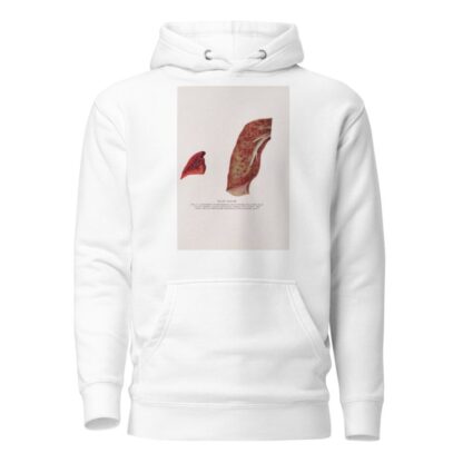 Plate XXXVIII by Milton C. Winternitz Hoodie