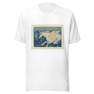 Pegasus by Johann Bayer T-Shirt