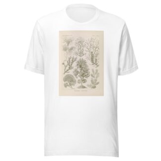 Fucoideae. – Brauntange by Ernst Haeckel T-Shirt
