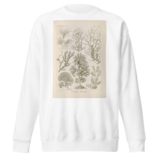 Fucoideae. – Brauntange by Ernst Haeckel Sweatshirt