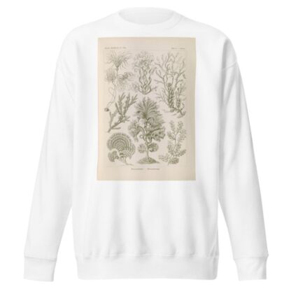 Fucoideae. – Brauntange by Ernst Haeckel Sweatshirt