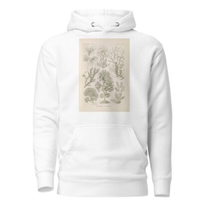 Fucoideae. – Brauntange by Ernst Haeckel Hoodie