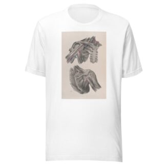 Surgical anatomy Pl.11 by Joseph Maclise T-Shirt