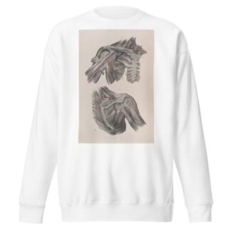 Surgical anatomy Pl.11 by Joseph Maclise Sweatshirt