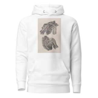 Surgical anatomy Pl.11 by Joseph Maclise Hoodie
