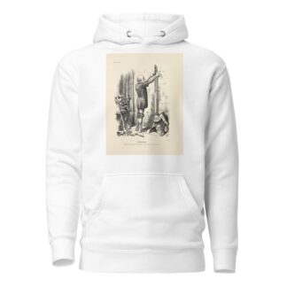 Unarming by Sir John Tenniel Hoodie