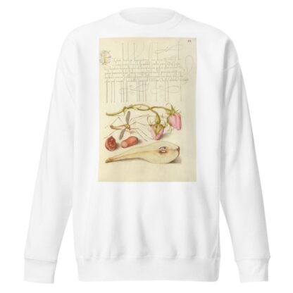 French Rose, Crane Fly, European Filbert, and Common Pear by Joris Hoefnagel Sweatshirt