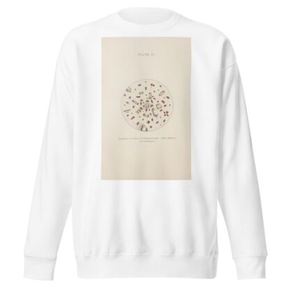 Plate II: Sediment of Alkaline Fermentation by Charles Wesley Purdy Sweatshirt
