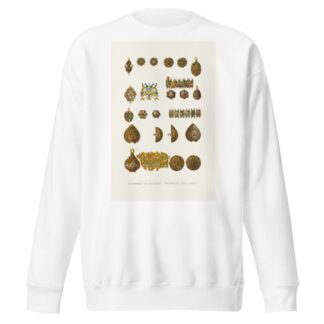 Pugovitsy s tsarskikh stanovykh kaftanov by Fedor Grigoryevich Solntsev Sweatshirt