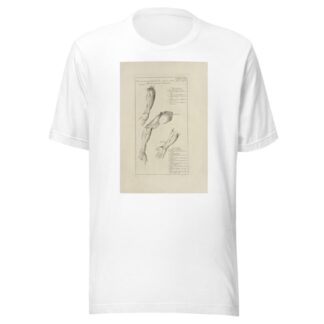 Anatomy improv’d and illustrated with regard to the uses thereof in designing Pl.17 by Michael van der Gucht T-Shirt