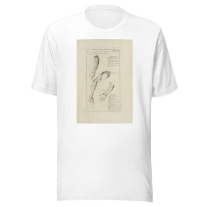Anatomy improv’d and illustrated with regard to the uses thereof in designing Pl.17 by Michael van der Gucht T-Shirt