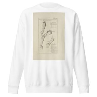 Anatomy improv’d and illustrated with regard to the uses thereof in designing Pl.17 by Michael van der Gucht Sweatshirt