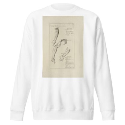 Anatomy improv’d and illustrated with regard to the uses thereof in designing Pl.17 by Michael van der Gucht Sweatshirt