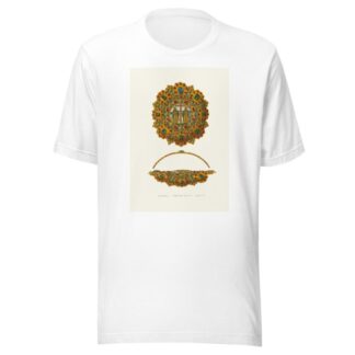 Barmy grecheskago dela. by Fedor Grigoryevich Solntsev T-Shirt