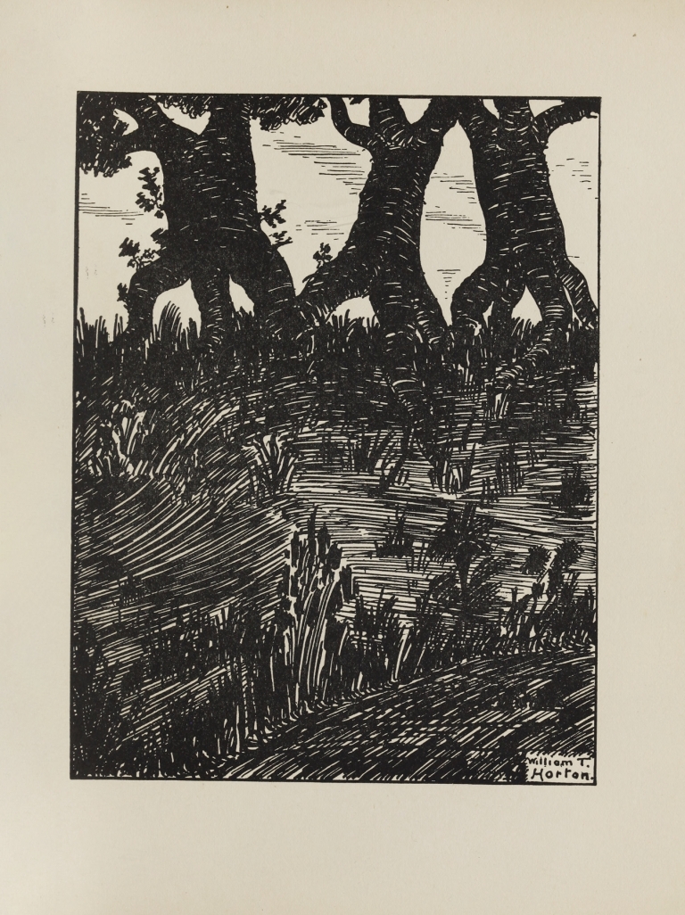 A book of images Pl.05 by William Thomas Horton
