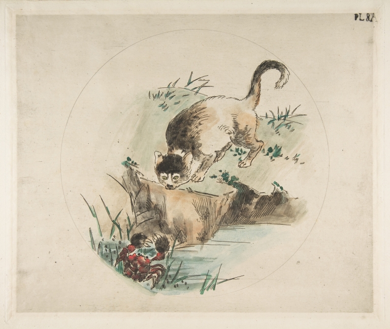 A Cat Hunting a Crab by Félix Bracquemond