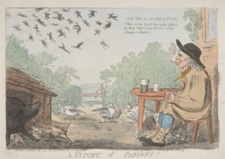 A Flight of Parsons by George Moutard Woodward