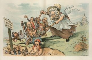 A hint to the Democratic Party by John Samuel Pughe