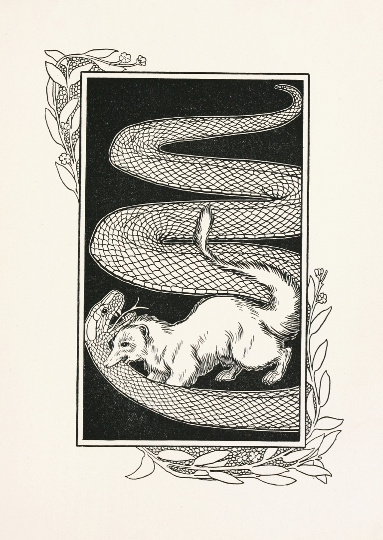 A hundred anecdotes of animals pl 080 by Percy J. Billinghurst