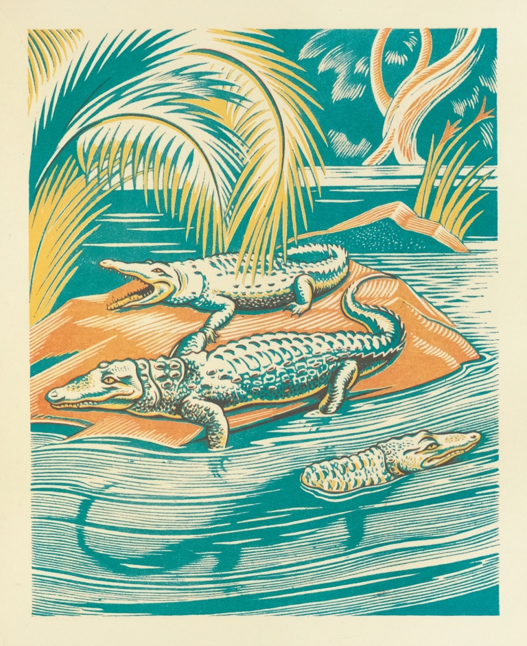 A Jungle Picnic Pl.04 by Clifford Webb