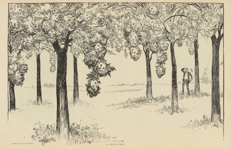 A peach crop by Charles Dana Gibson