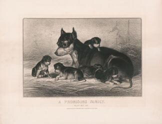 A promising family; black and tan by Currier & Ives.