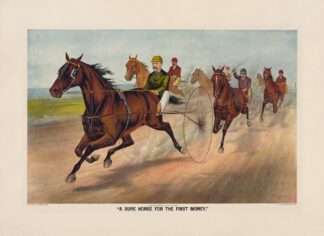 A sure horse for the first money by John Cameron