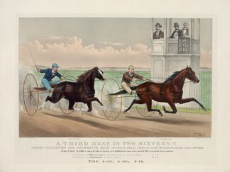 A third heat in two sixteen!!; Judge Fullerton and Goldsmith Maid in their great trot at East Saginaw, Mich. July 16th. 1874 by John Cameron